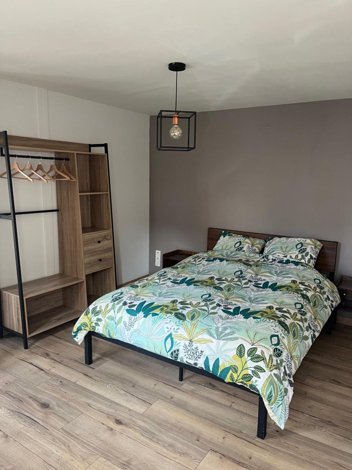 Charmant Appartement Au Coeur De Buhl エクステリア 写真
